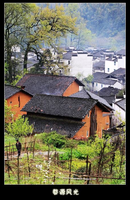 婺源风光无限好