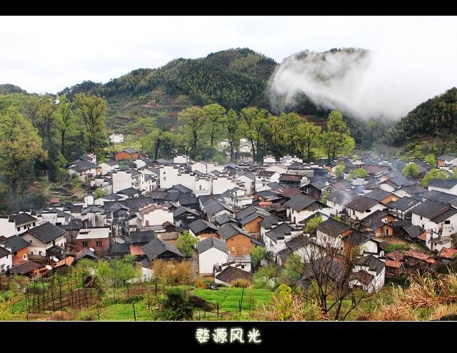 婺源风光无限好