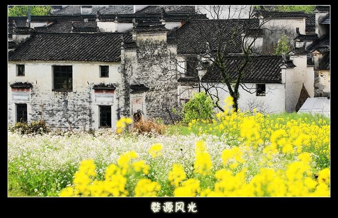 婺源风光无限好