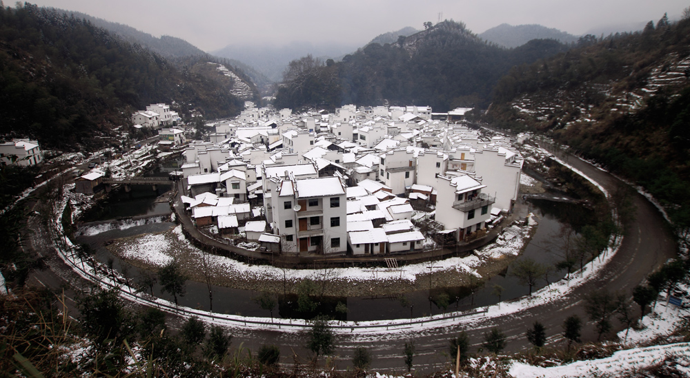 菊经雪景